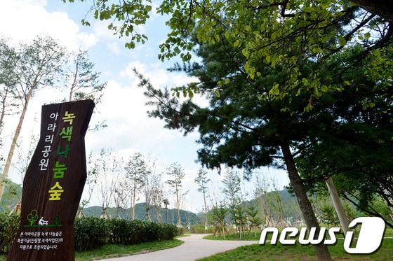 강원 정선군 아라리공원 녹색나눔 숲 전경. (정선군 제공) 2014.4.25/뉴스1 © News1 하중천