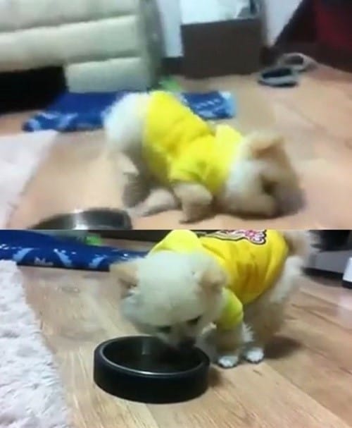 해당 유튜브 영상 캡처. © News1  