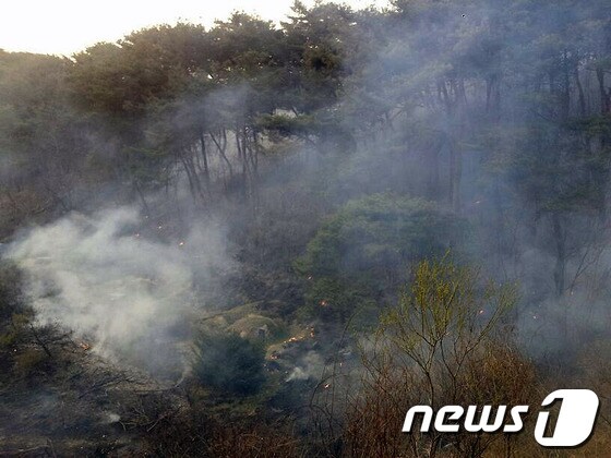 8일 오후 6시쯤 강원 춘천시 동면 지내리 일대 야산에 불이 나 1시간만에 진화됐다.&#40;춘천소방서 제공&#41; © News1 권혜민 기자