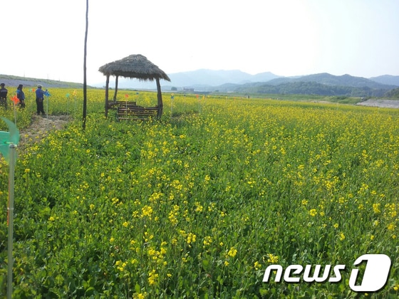사진=구미시© News1  