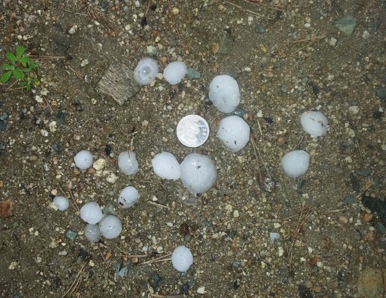 100원짜리 동전 크기의 우박. © News1