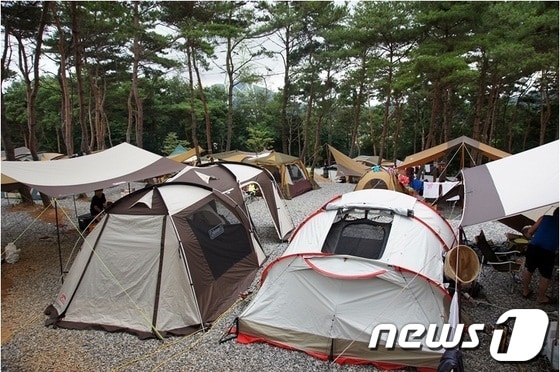 용봉산캠핑장 © News1 