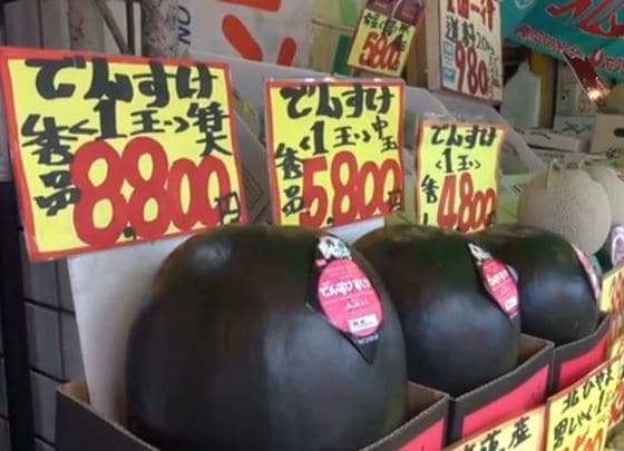 덴스케 수박 © 출처-유튜브캡쳐=News1 