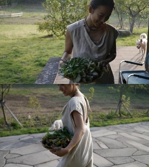 이효리 블로그 캡처 © News1   