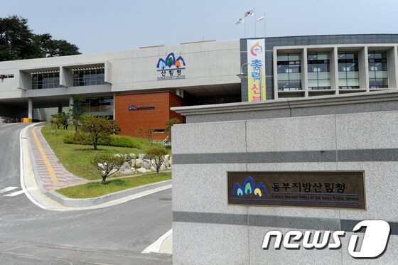 동부지방산림청. (뉴스1 DB) ⓒ News1