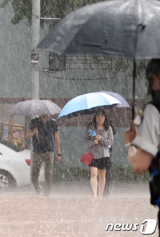 . 2014.6.23/뉴스1 © News1 허경 기자