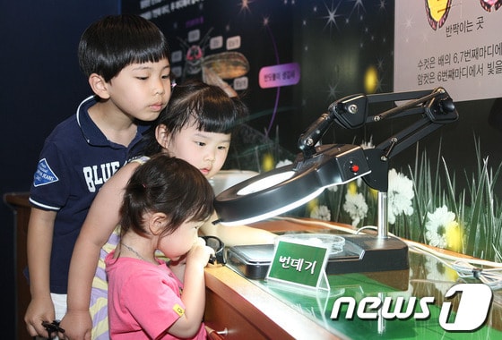 2013년 무주반딧불축제에서 어린이들이 주제관에서 반딧불이를 관찰하고 있다.(무주군 제공)2014.06.03/뉴스1© News1 