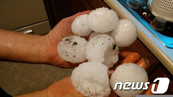 (출처=트위터) © News1