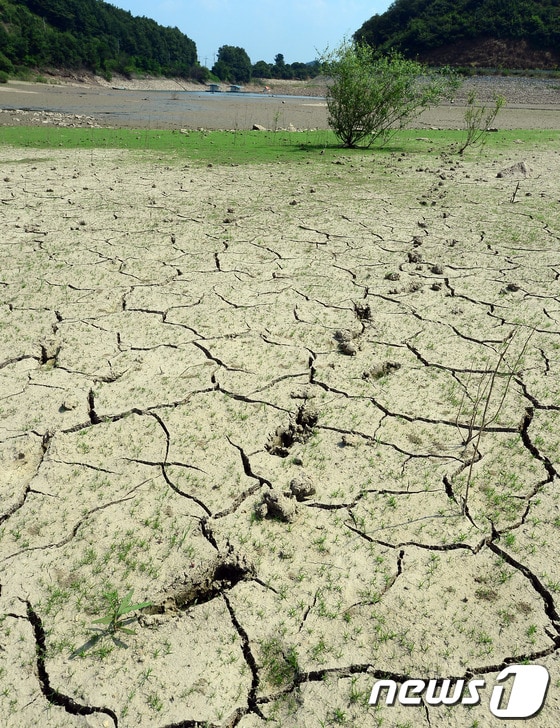 통상 6월 말께 찾아오는 장마가 늦어지면서 평년보다 강수량이 적어 가뭄현상이 곳곳에서 발생하고 있다. 1일 충남 공주시 의당면의 한 저수지가 메말라 바닥이 보이고 있다. 2014.7.1/뉴스1 © News1 장수영 기자