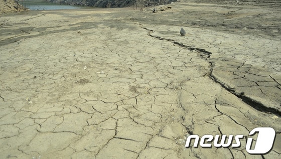 13일 극심한 여름 가뭄이 이어지면서 강원 춘천시 서면 서상리 신매저수지가 바닥을 드러내고 있다. 총 저수량 191만 8000㎡인 신매저수지는 농업용수공급을 위해 1985년 설치됐다. 2014.7.13/뉴스1 © News1