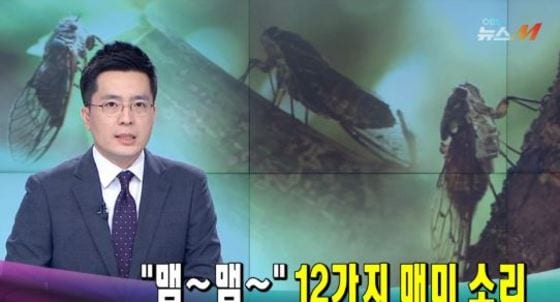 OBS 캡처 ⓒ News1