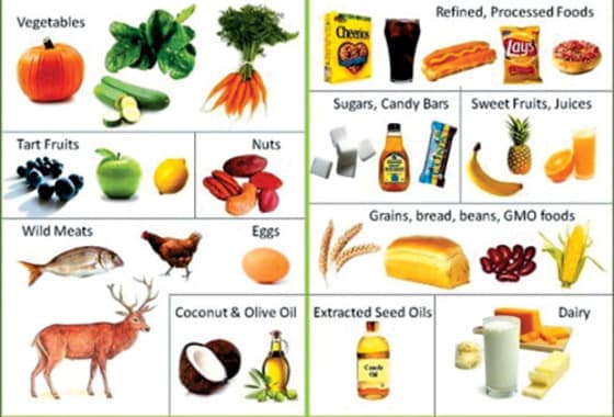 Jane’s Healthy Kitchen 홈페이지