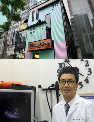 '청담우리동물병원' 윤병국 원장 ⓒ News1