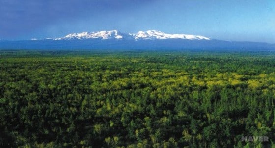 백두산 현무암 용암대지