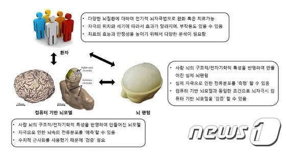 뇌 자극 치료의 정확성 검증하는 뇌 팬텀 개발.(광주과학기술원 제공)2015.10.14/뉴스1 ⓒ News1 신채린 기자