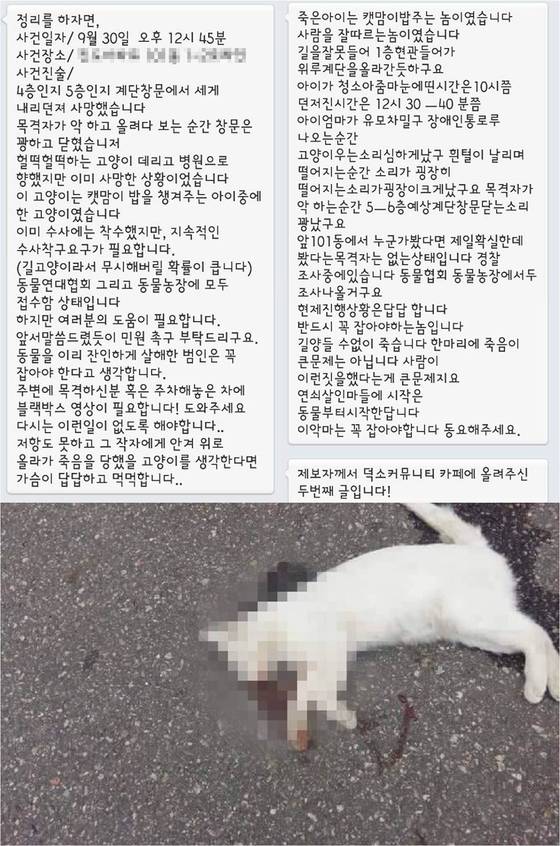 아파트에서 고양이를 던져 잔인하게 죽인 사건이 네티즌들 사이에서 논란이 되고 있다.(사진 페이스북 페이지 '덕소 대신전해드립니다'  해당 사건 제보 자료 캡처)ⓒ News1