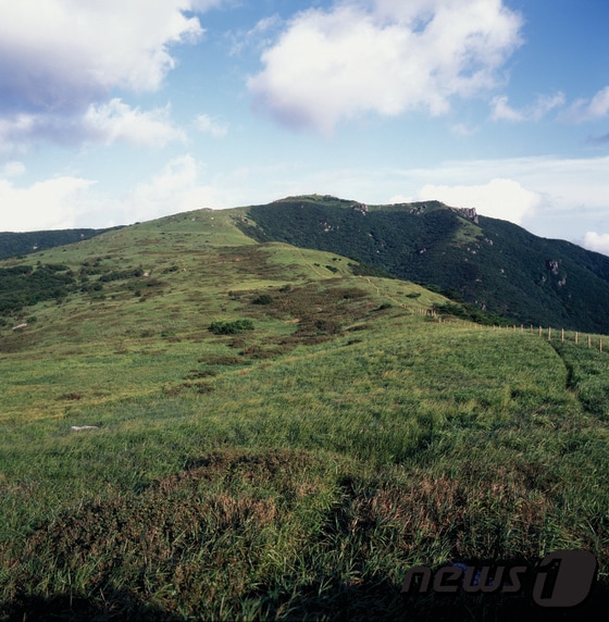 양산시가  인구  30만  달성을 기념하면서  오는 30일부터   천성산의  문화유산을  소개하는  특별전시를  개최키로  했다.(양산시청  사진제공) ⓒ News1   강영범기자