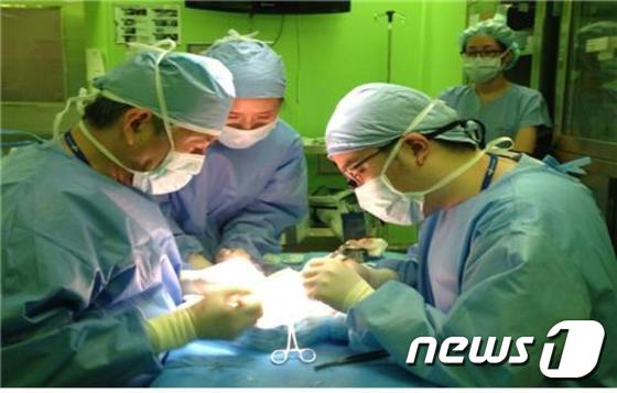 양산부산대병원 외과 최병현교수가 췌장이식 수술중인 모습이다.(양산부산대병원 사진제공)ⓒ News1 강영범기자