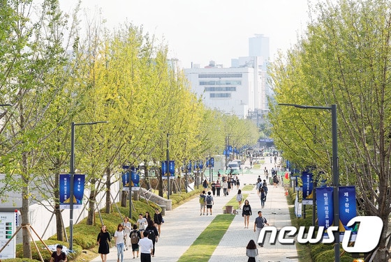 연세대 백양로 전경 (연세대학교 제공)/뉴스1 ⓒ News1