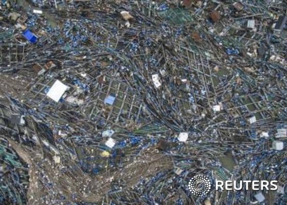 태풍 무지개가 광둥성 잔장시를 휩쓸고 지나갔다. ⓒ 로이터=뉴스1