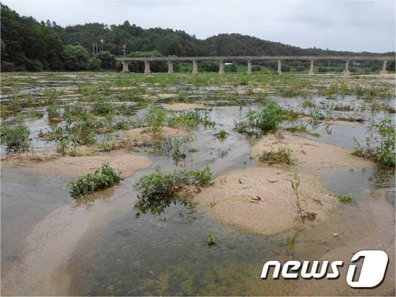영주댐 건설로 육지화된 영주시 문수면 무섬마을. 이 마을은 국가주요문화재로 지정돼 있다./사진제공=대구환경운동연합ⓒ News1