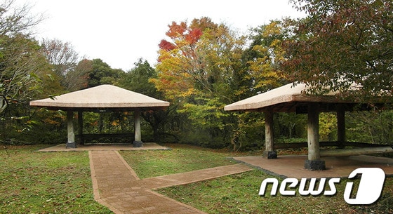 제주 교래자연휴양림 내 야영장. (사진=교래자연휴양림 홈페이지) 2015.12.25. 뉴스1 ⓒ News1