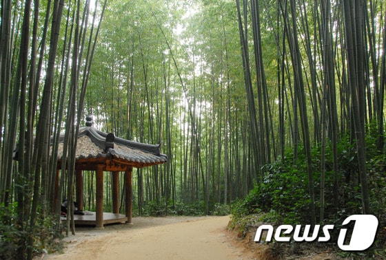 전남 담양군은 민족 대명절 설을 맞아 담양의 주요 관광명소 6곳을 무료로 개방한다. (담양군 제공) 2015.2.14ⓒ News1