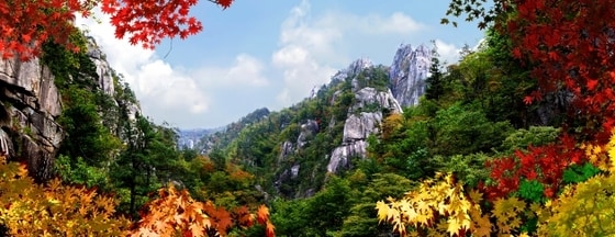 한국인이 좋아하는 취미