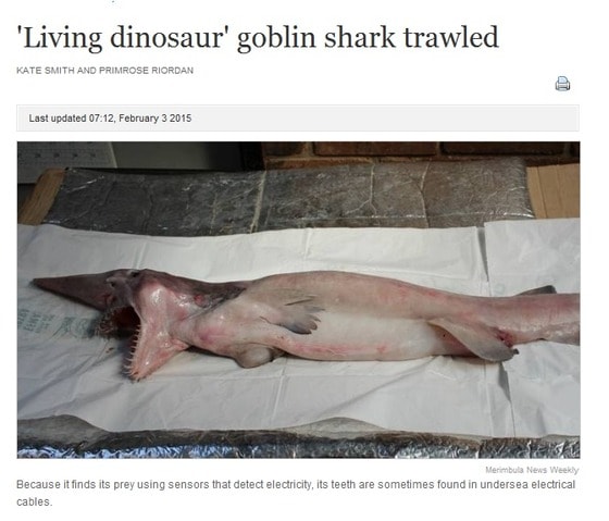 ⓒ 영국 데일리 메일 보도