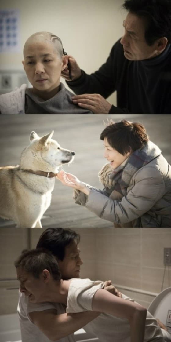 김호정이 영화 '화장'에서 파격적인 노출을 감행해 눈길을 끌고 있다.