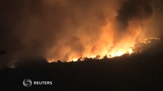 ⓒ 로이터=뉴스1