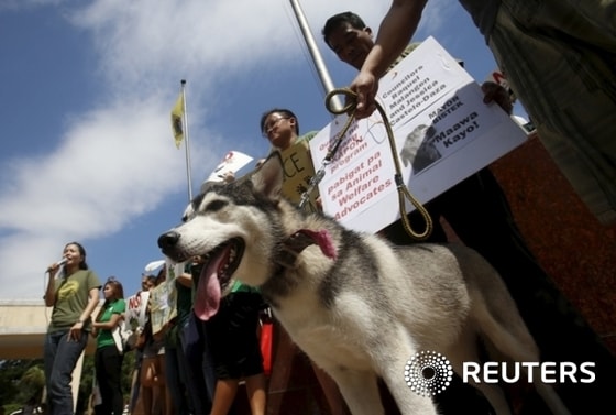 자료 사진. ⓒ 로이터=뉴스1