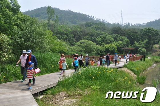 고창 람사르 운곡습지 오감만족동행 프로그램&#40;뉴스1/DB&#41;ⓒ News1