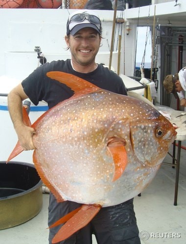 니컬러스 웨그너 미국 국립해양대기청&#40;NOAA&#41; 해양생물학자가 캘리포니아 해안에서 연구조사를 하던 중 잡은 빨간개복치를 들고 있다. 연구팀은 14일 과학전문저널 사이언스에서 최초의 온혈어류가 발견됐다고 밝혔다. ⓒ 로이터=뉴스1
