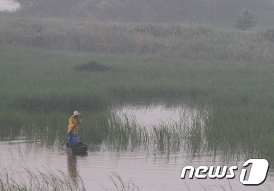 창녕 우포늪에서 한 어부가 거룻배에 올라 고기잡이에 나서고 있다. 우포늪은 국내 최대의 자연 늪지로 1997년 생태계보전지역 가운데 생태계특별보호구역으로 지정됐으며, 1998년 국제습지조약 보존습지로 지정돼 국제적인 습지가 됐다./뉴스1 ⓒ News1 이철우 기자