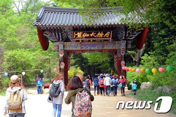 강원 평창군 오대산 천년 숲 선재길/뉴스1 ⓒ News1