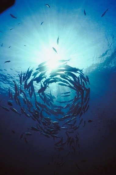 사진출처 : 리크리홀딩컴퍼니 ⓒ News1