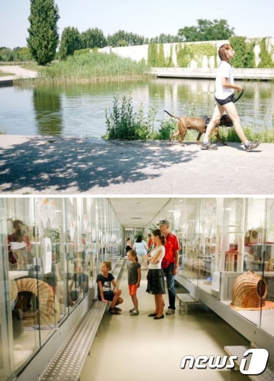 독일의 임시동물보호소인 '티어하임(Tierheim)' .(ⓒ News1