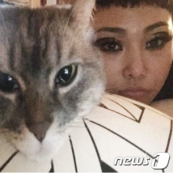 (사진 20PICK '아임 캣맘' 캡처)ⓒ News1