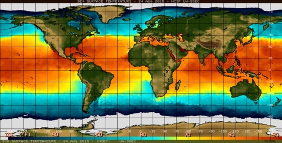 전 세계 해수면 온도(2015.8.24)/출처-미국 국립해양대기청(<strong class="hl">NOAA</strong>)  