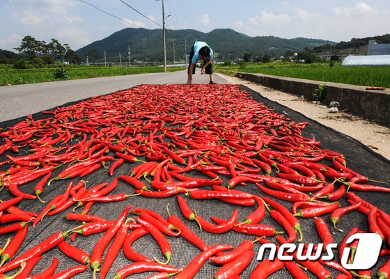 . 2015.8.28/뉴스1 / (광주=뉴스1) 황희규 기자 ⓒ News1