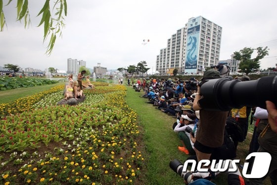 (전남 장흥군 제공)2015.8.4.ⓒ News1
