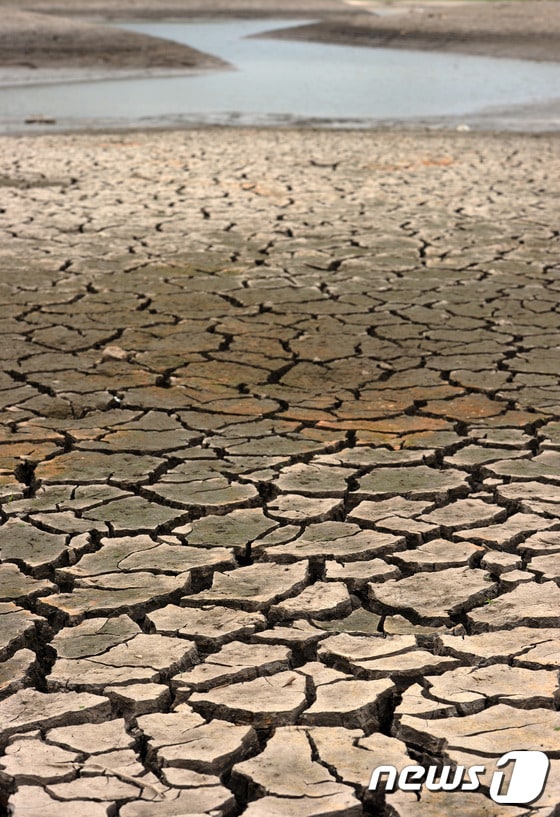 20년만에 찾아온 최악의 엘니뇨로 극심한 가뭄피해를 입은 온두라스. ⓒ AFP=뉴스1