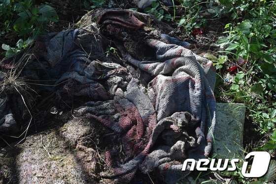 2014년 10월 멕시코 게레로 지역에서 최소 6명이 매장된 집단 무덤이 발견됐다. ⓒAFP=뉴스1