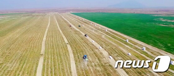 새만금 간척지 내부개발용지가 바다에서 땅으로 변화했다. 25일 농업용지로 조성된 6공구 복합곡물단지와 초지부지에서 트랙터가 부지런히 움직이고 있다.(전라북도 제공)2015.9.25/뉴스1 ⓒ News1 김대웅 기자