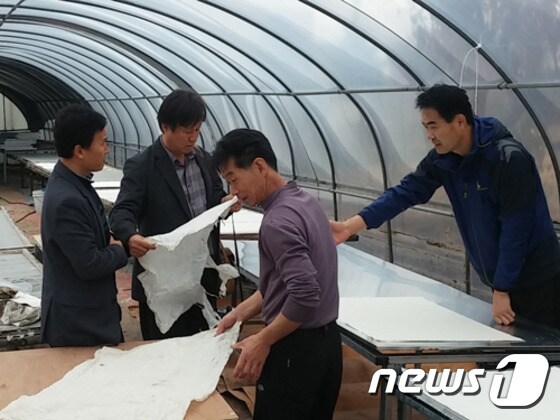 안동한지/뉴스1 자료 ⓒ News1