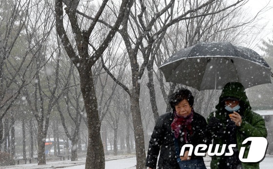 매서운 한파로 인해 눈보라가 휘날리는 가운데 대전 시민들이 걸어가고 있다. /뉴스1 ⓒ News1