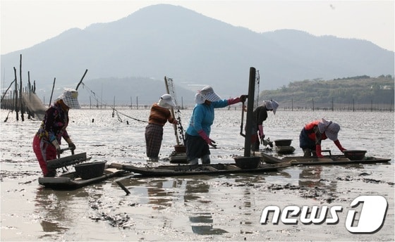 벌교갯벌 전경.(전남도 제공) ⓒ News1