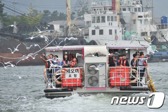 포항운하 관광에 나선 관광객들이 크루즈선으로 몰려드는 갈매기들에게 과자를 던져주고 있다.(뉴스1 자료) ⓒ News1 최창호 기자