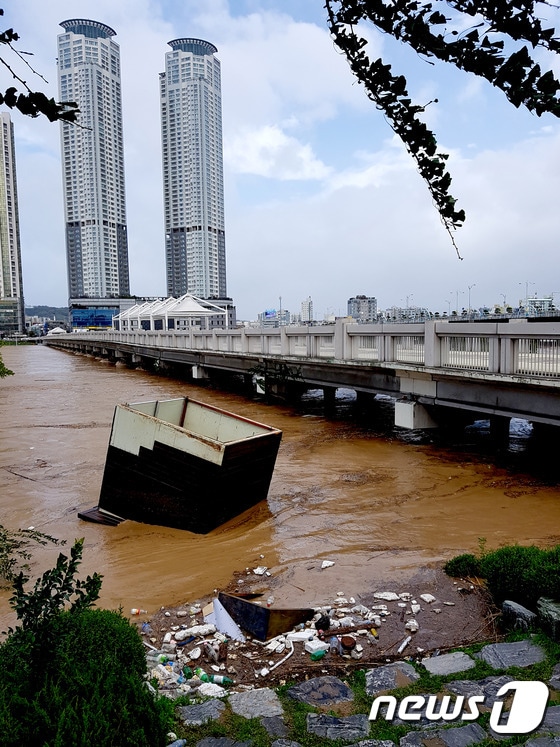 울산 태화강에 홍수경보가 발령되면서 울산교가 범람 직전에 놓였다. ⓒ News1